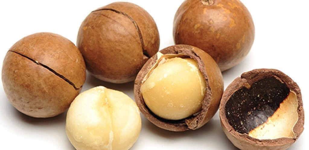 SHELLING OUT: Maccas in the shell are a whole new product. SHELLING OUT: Maccas in the shell are a whole new product.